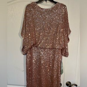 Blu Sage Rose colored Sequined Dress. Size 16 NWT